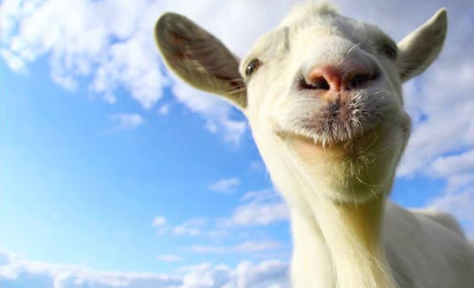 Atualização de Goat Simulator chega dia 3 de junho